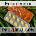 Enlargenexx 42